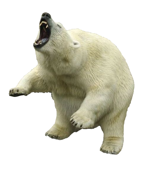 A roaring polar bear in a frozen landscape